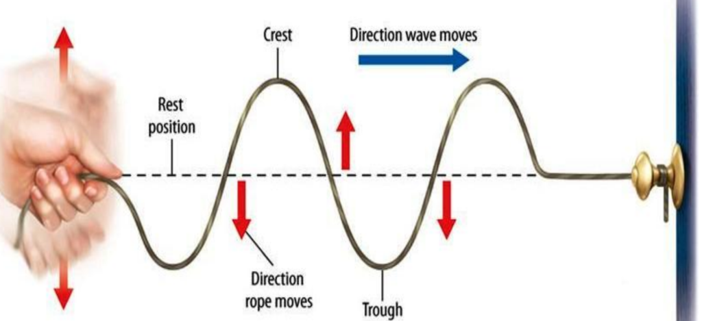 Transverse Waves