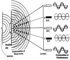 Young’s Double Slit Experiment